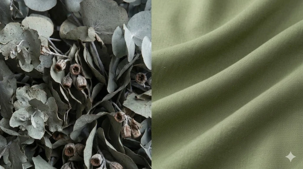 à gauche une fleur d'eucalyptus pris en photo de près avec un tissu en lyocell à côté, fait pour illustrer l'origine de ce textile à base de fibre végétal