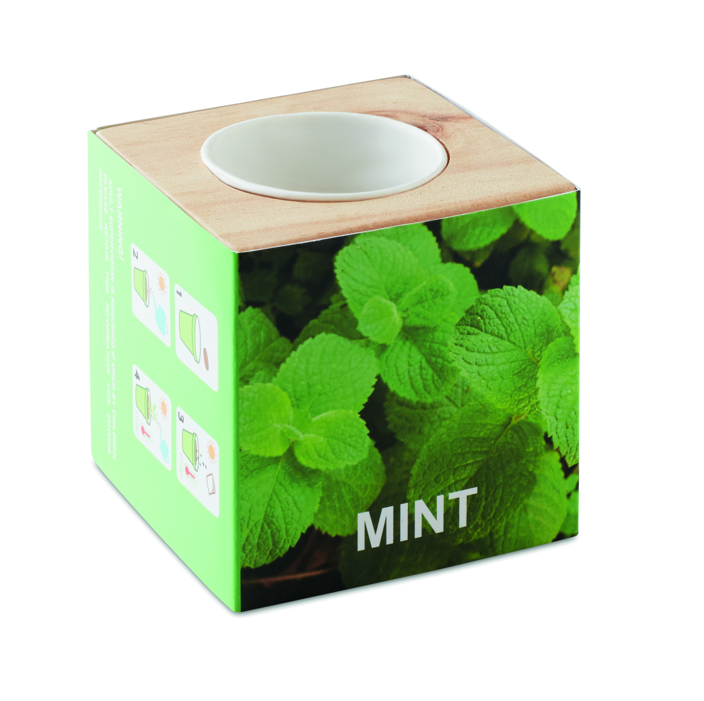 Pot avec graines de menthe en bois