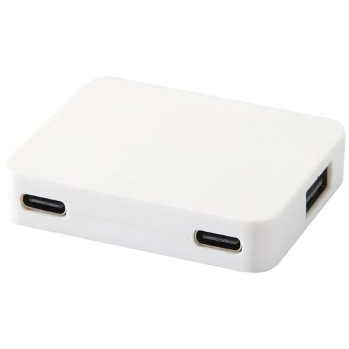 Hub USB 4 ports Gaia