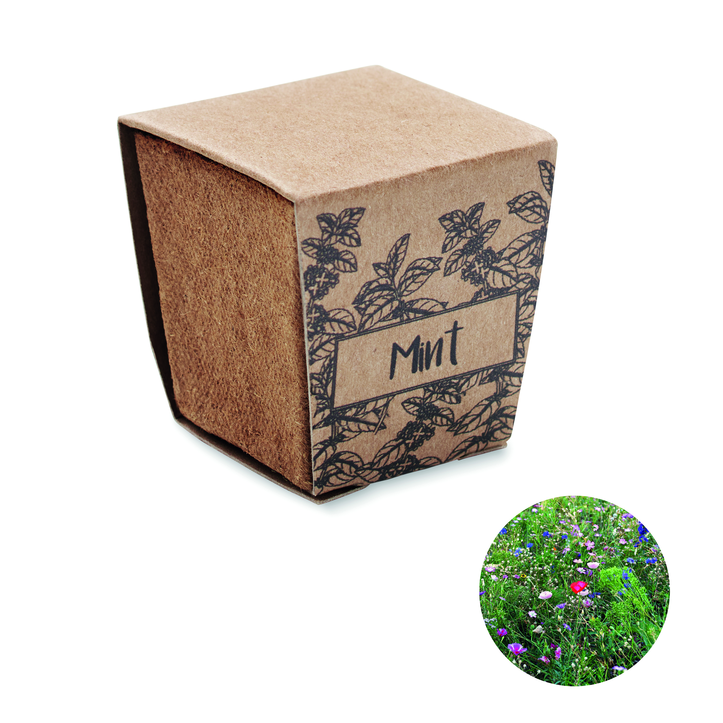 Kit de culture de menthe en pot biodégradable