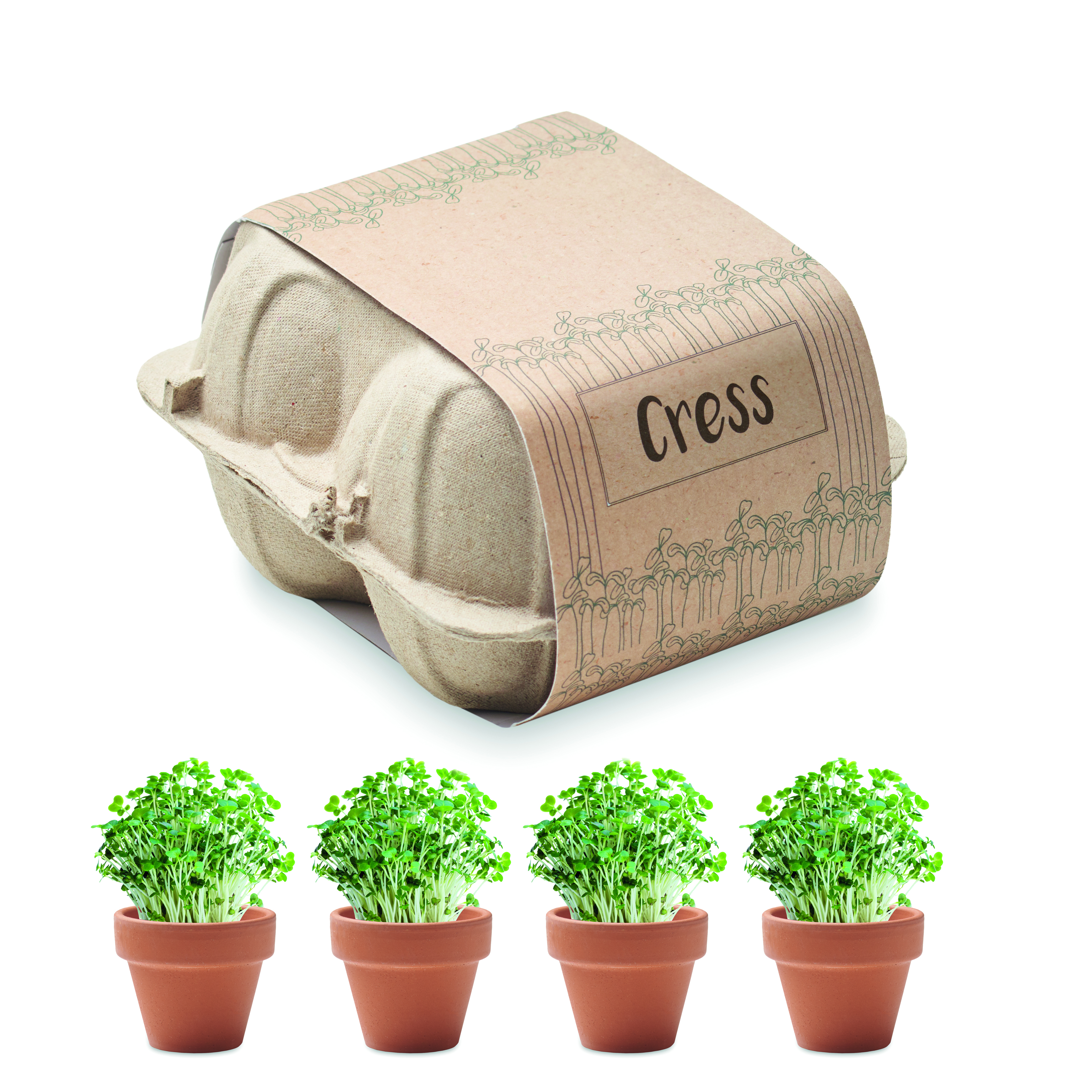 Kit de culture de cresson en pots de terre cuite