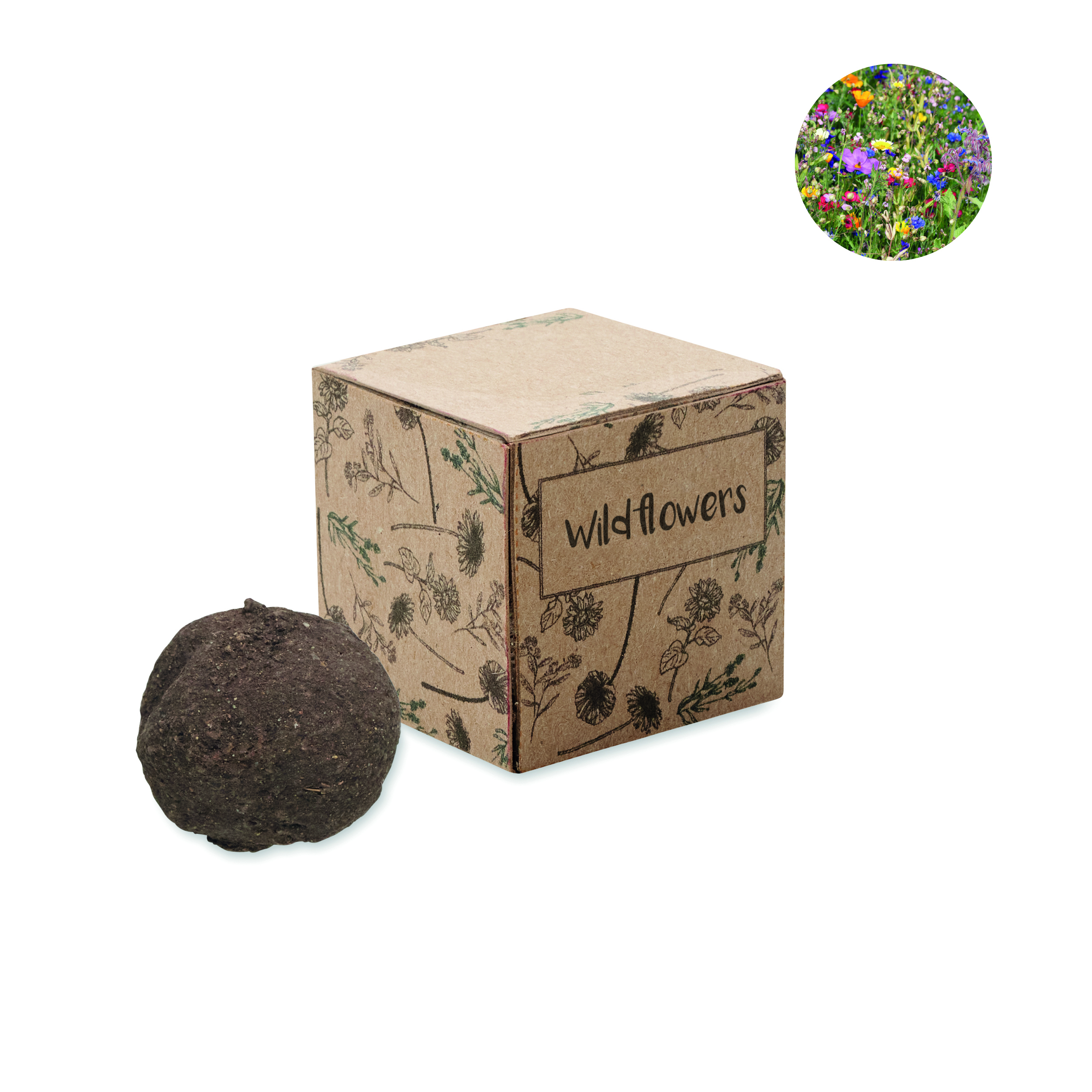 Boule de graines de fleurs sauvages