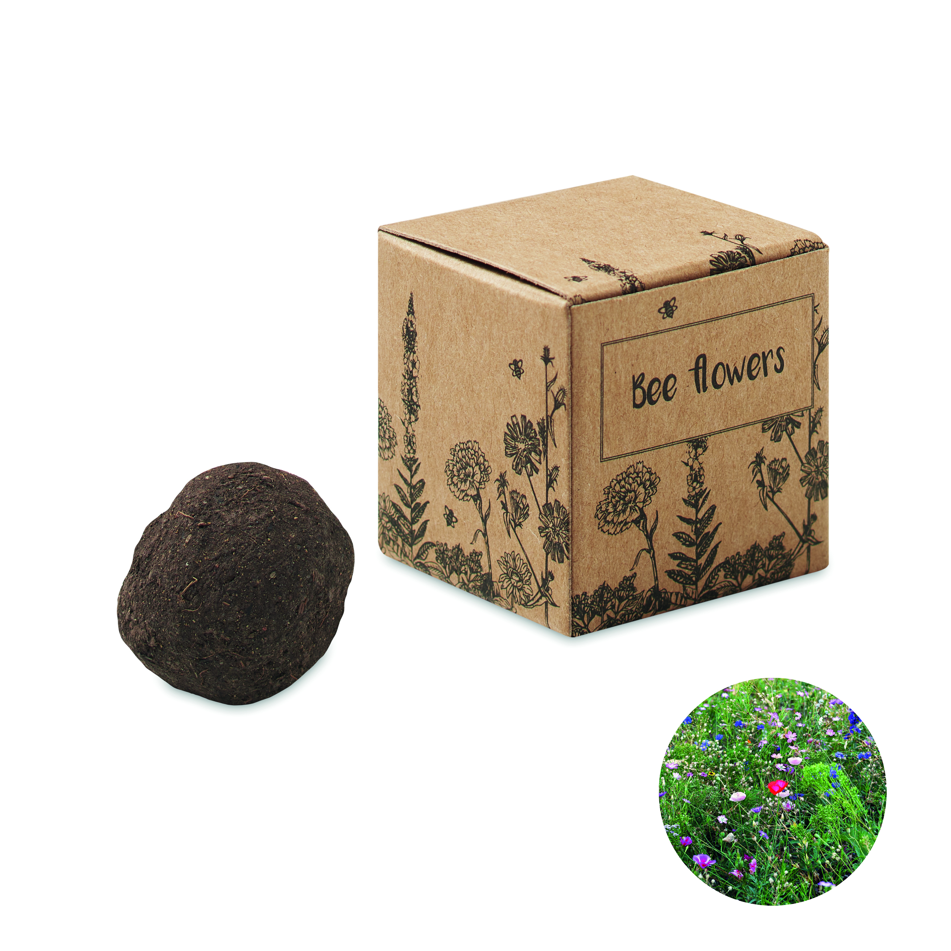 Bombe de graines de fleurs mellifères