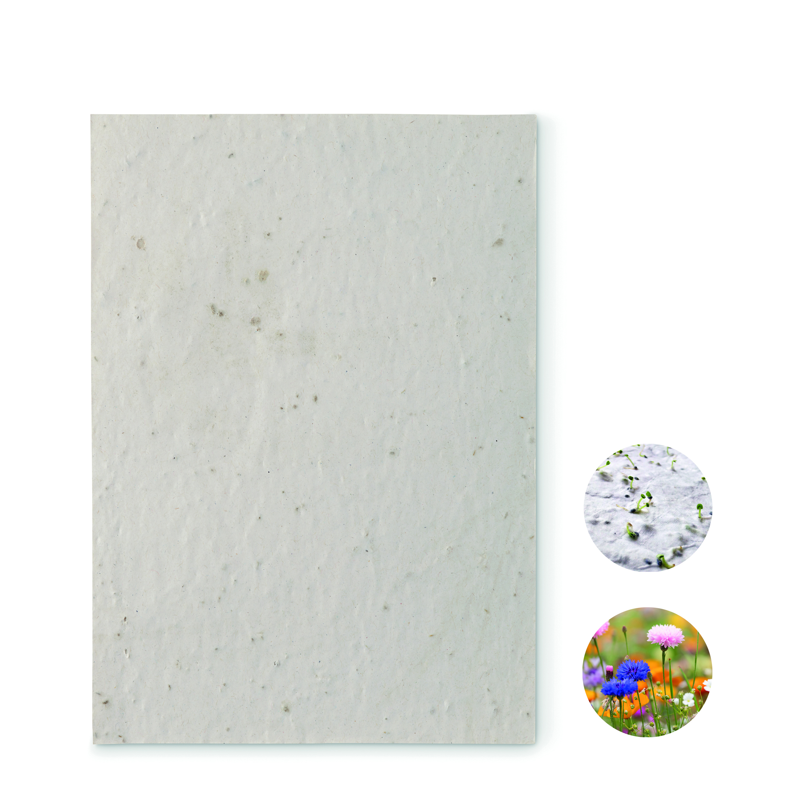 Feuille ensemencée A5 de graines de fleurs en papier recyclé