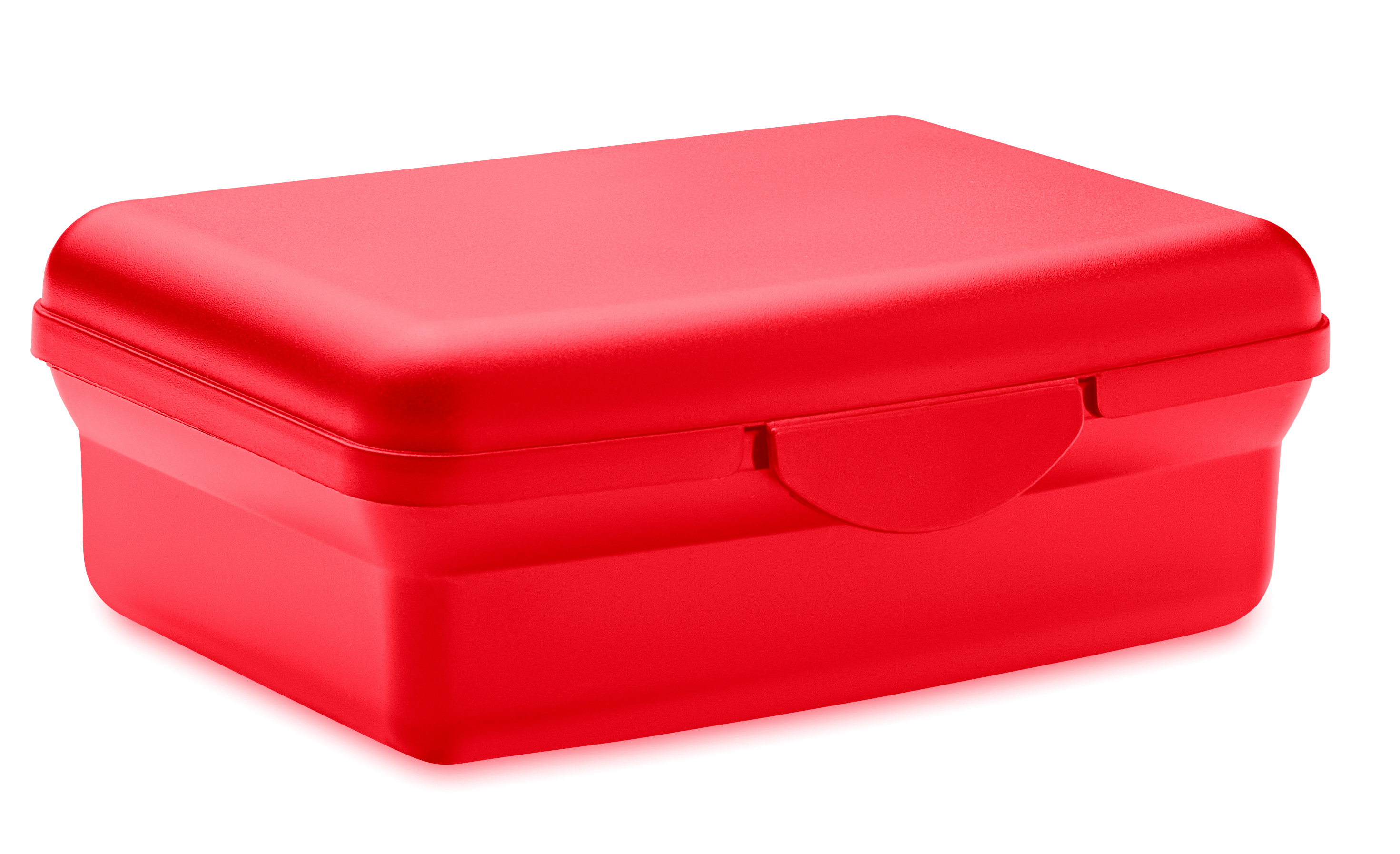 Lunchbox 800 ml en polypropylène