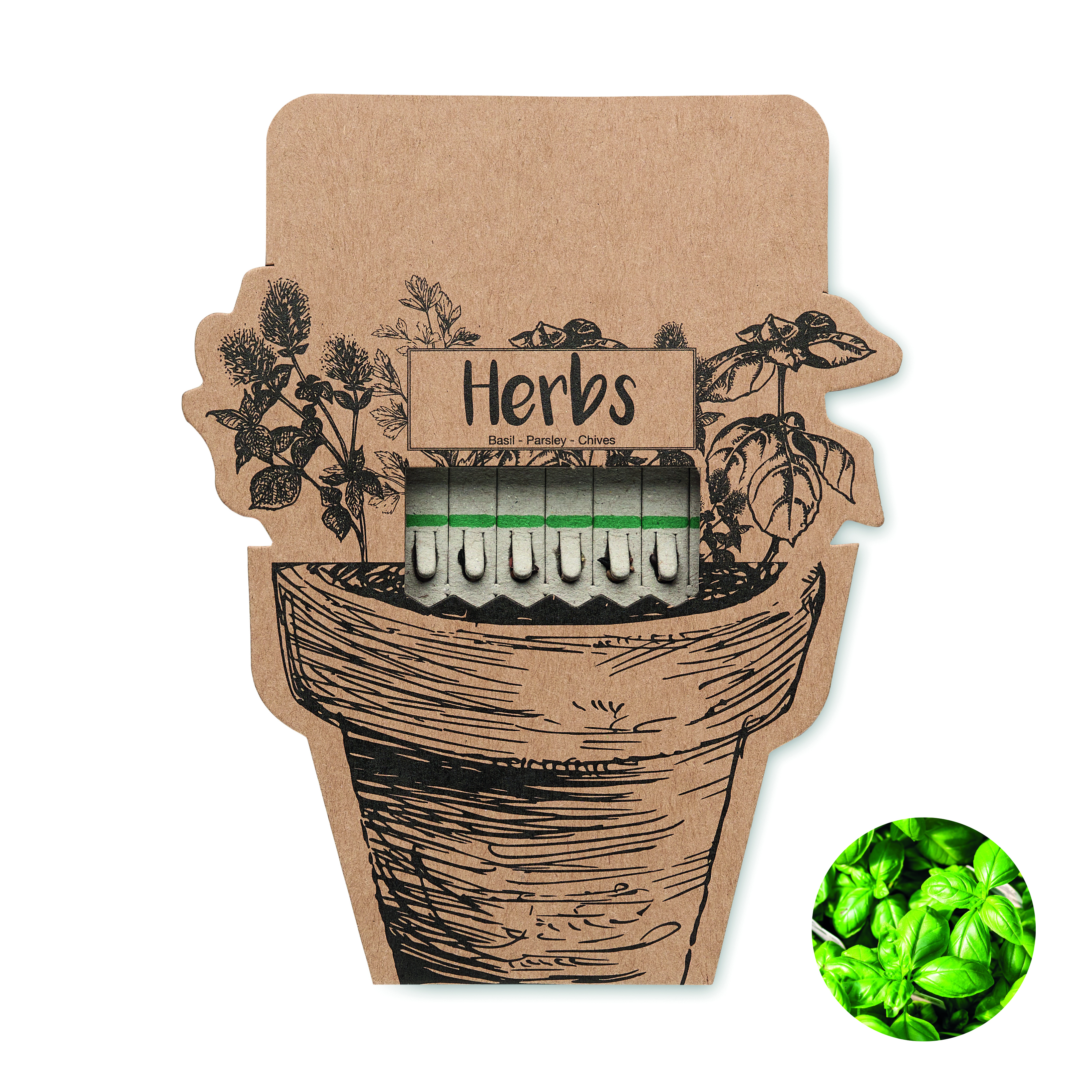 Bâtonnets de graines d'herbes aromatiques