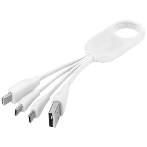 Câble de charge 4 en 1 USB-C Troup