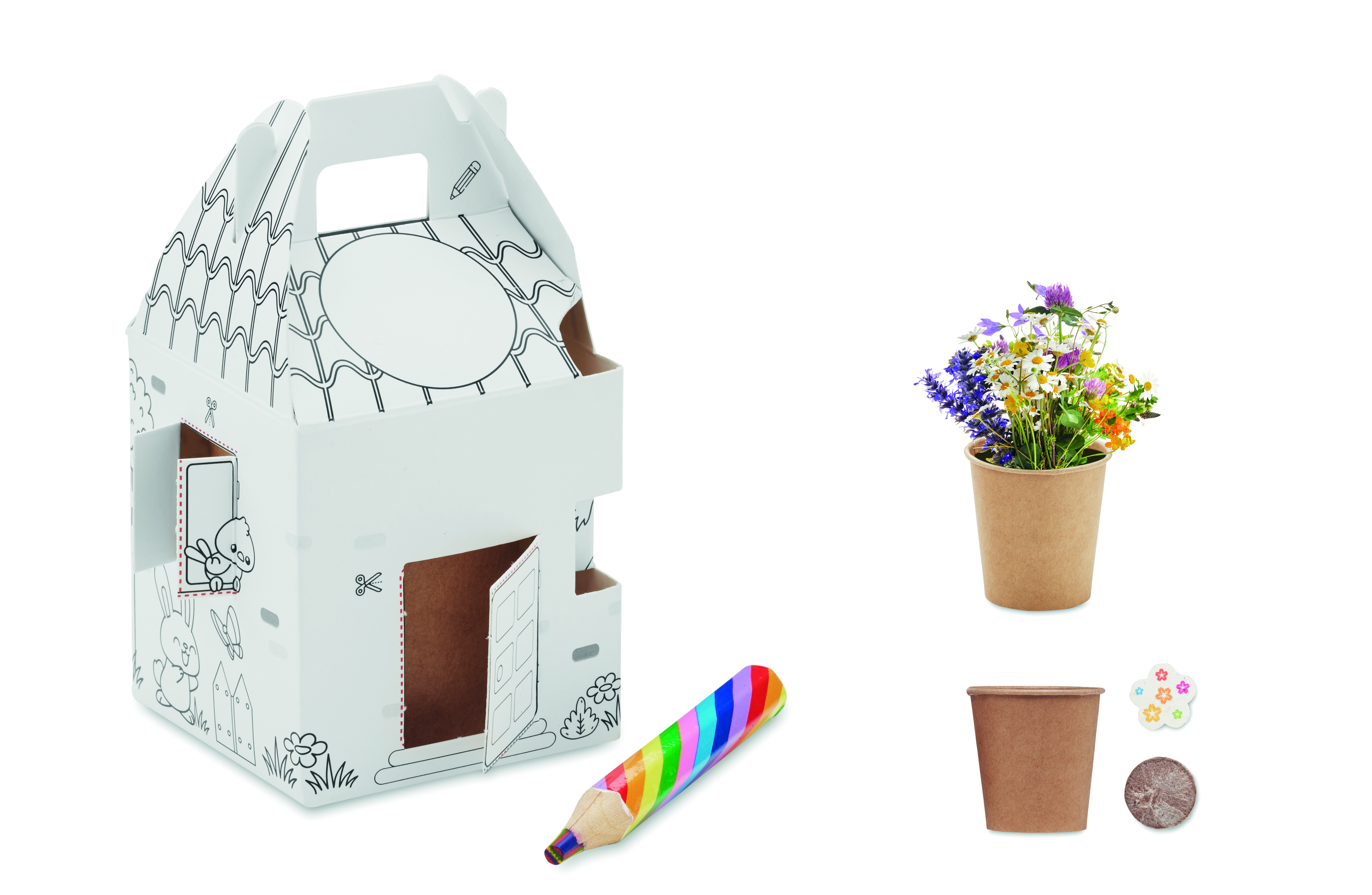 Set de culture de graines de fleurs sauvages